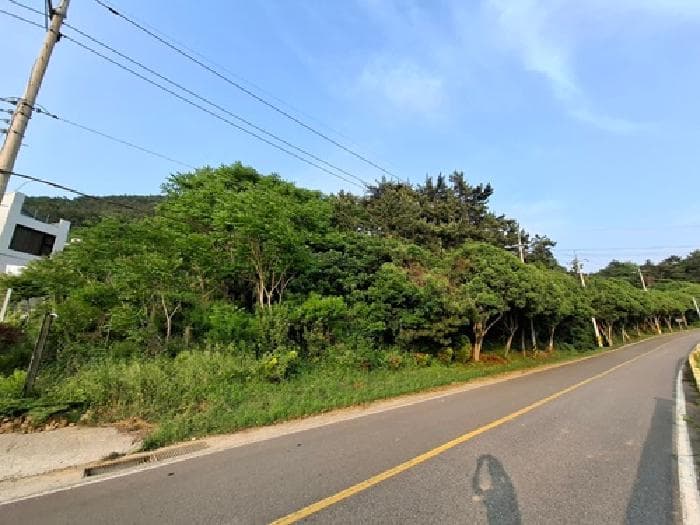 2025타경30816 사진