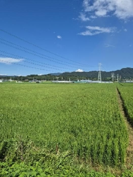 2025타경33462 사진