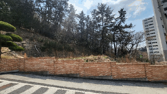 2025타경50966 사진