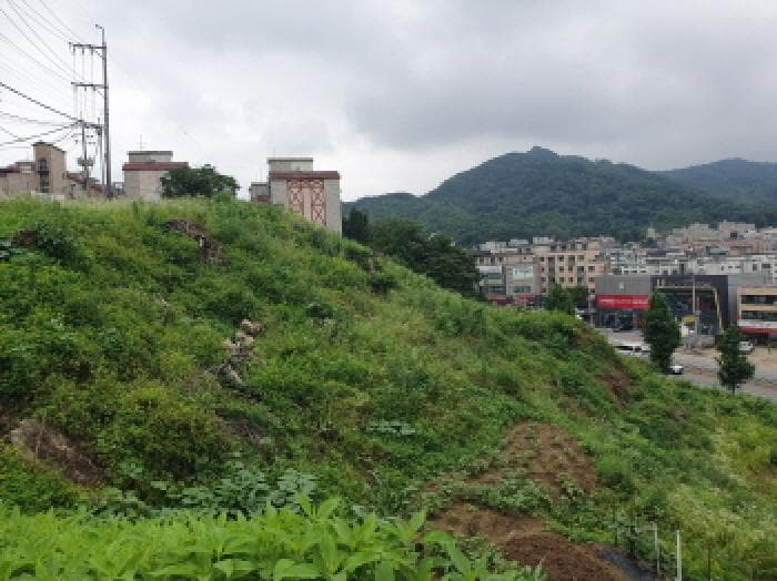 2025타경71876 사진