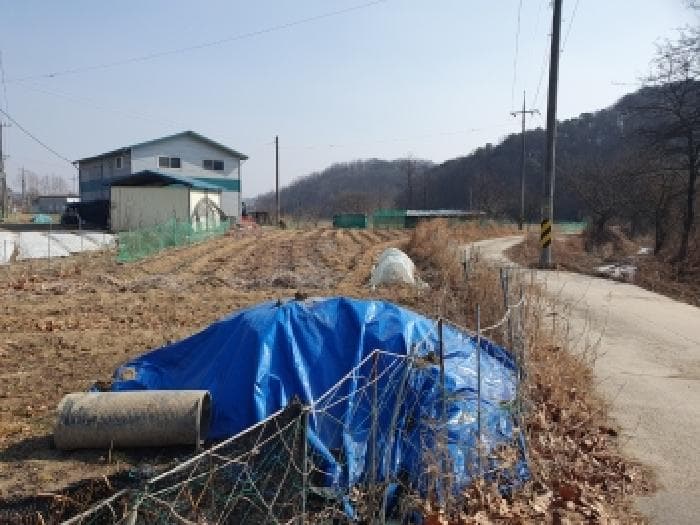 2026타경80 사진