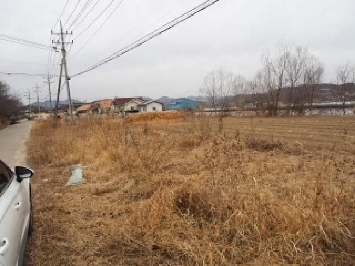2026타경223 사진