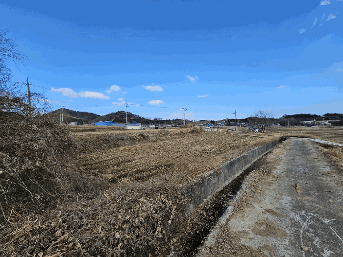 2026타경50108 사진