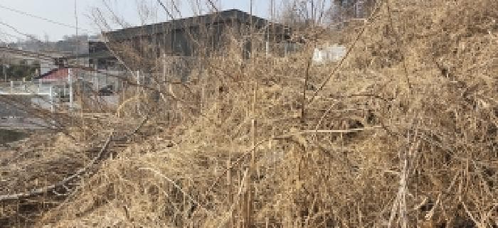 2026타경60314 사진